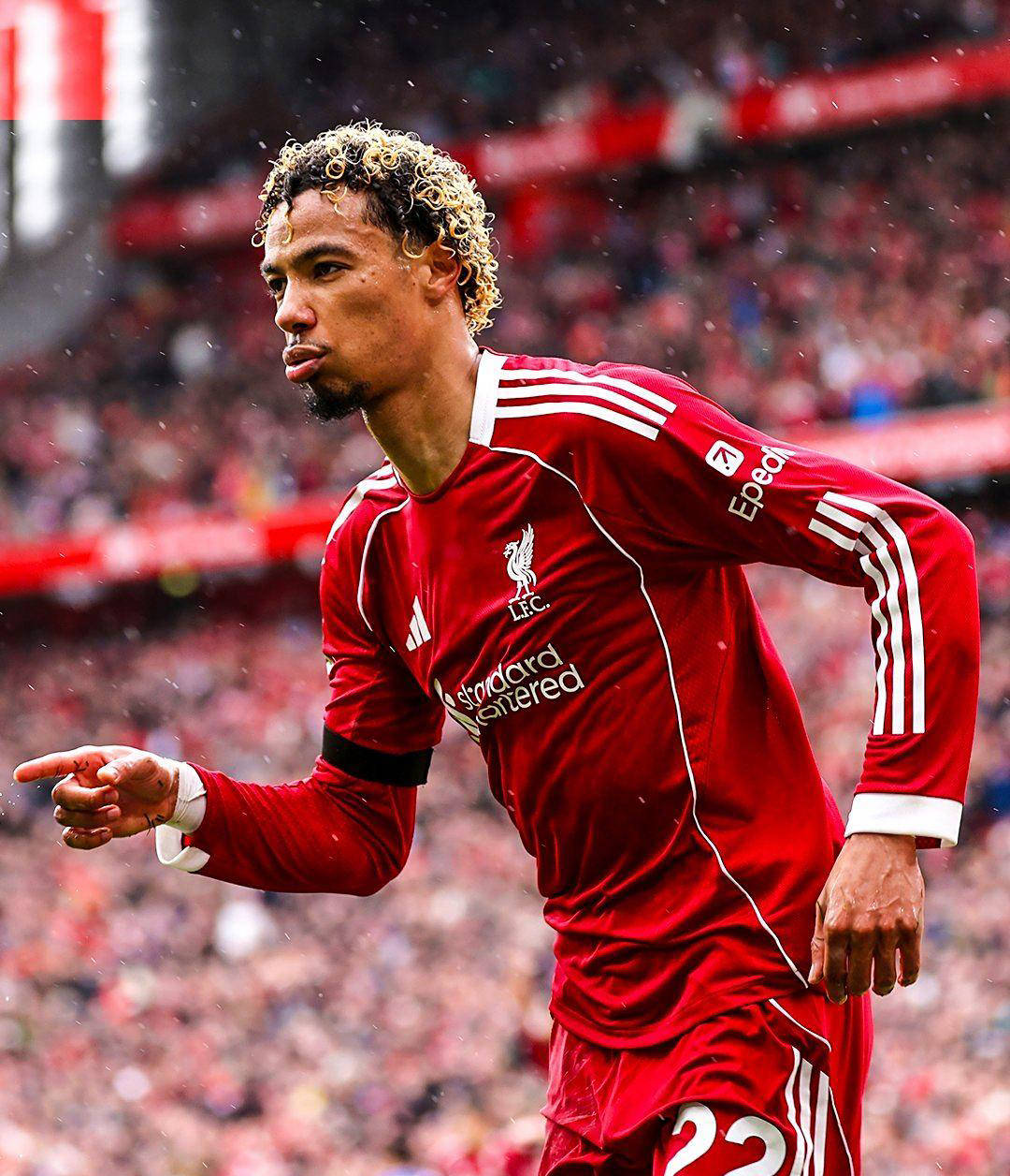 九游体育官网-四大马红星照耀中国